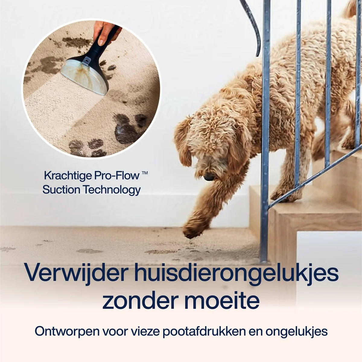 PowerClean Pro 2000W Stoomreiniger - afbeelding 3